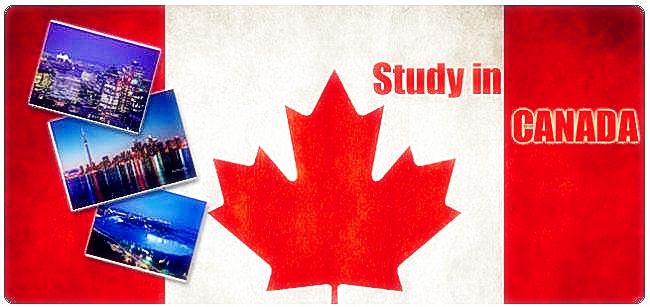 在加拿大留学，想要转学怎么办？