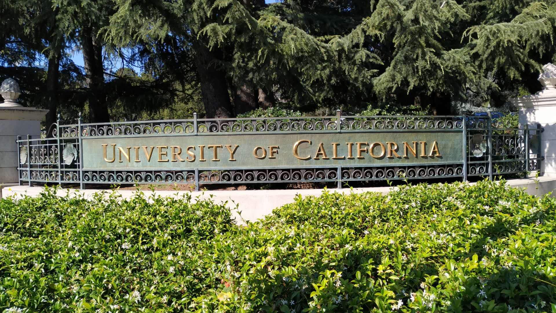加州大学公布2019年新生录取数据！